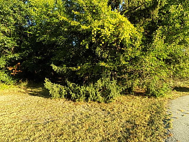 000 Red Arrow Highway