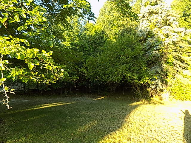 000 Red Arrow Highway