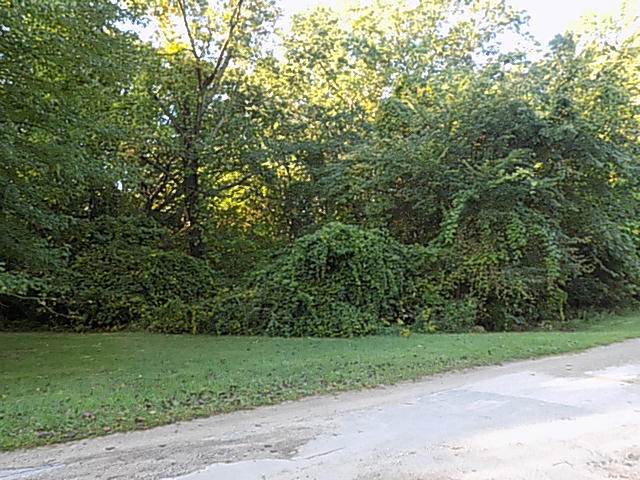 000 Red Arrow Highway