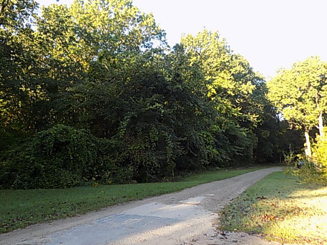 000 Red Arrow Highway