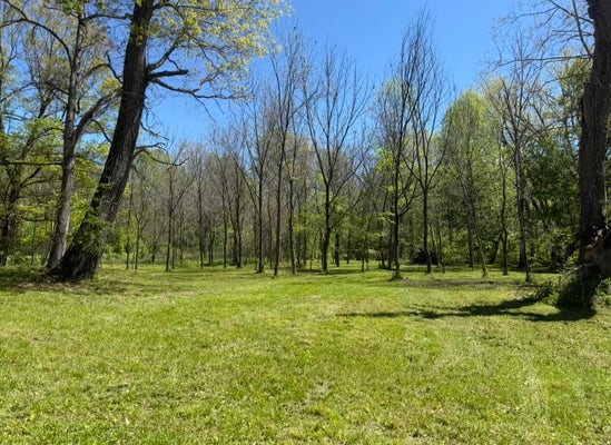 8040 MARTIN RD, THREE OAKS, MI 49128 - Image 292f8961ac2ec4e78ac5c9aa050ca9cb/4101377158
