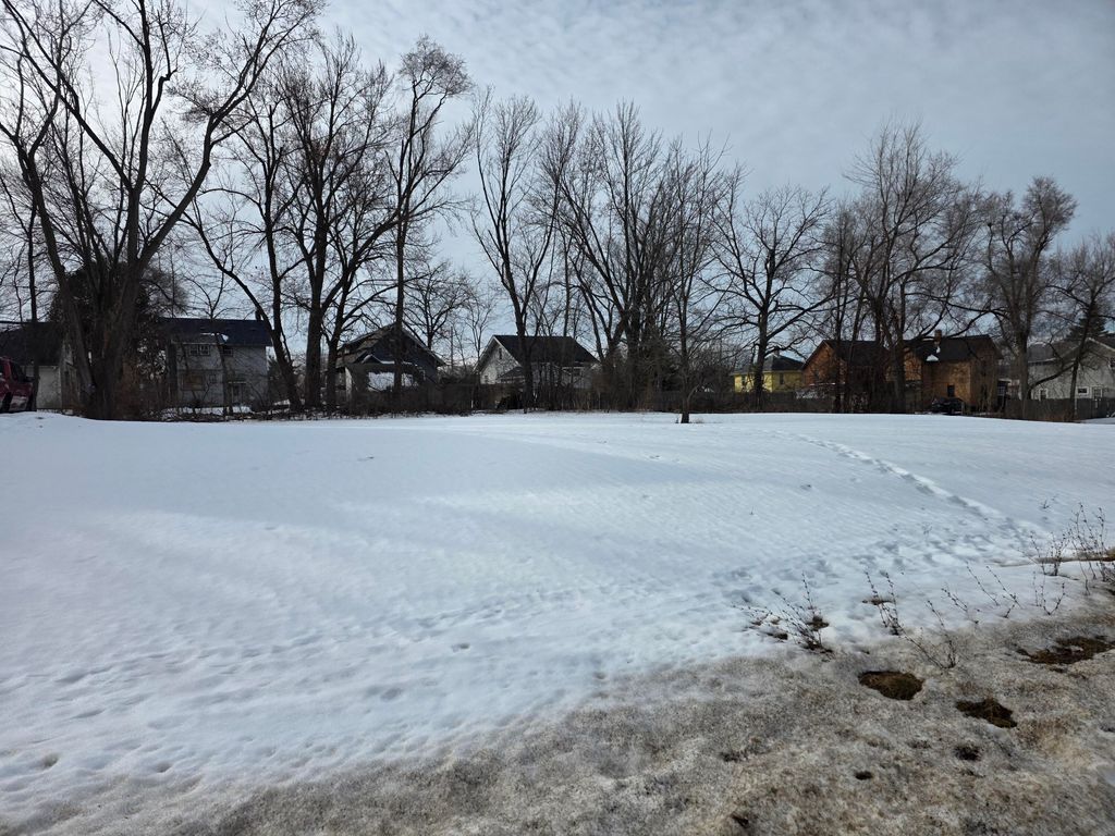 Photo of 113 E Mansion Street, Jackson, MI 49203 (MLS # 26005699)