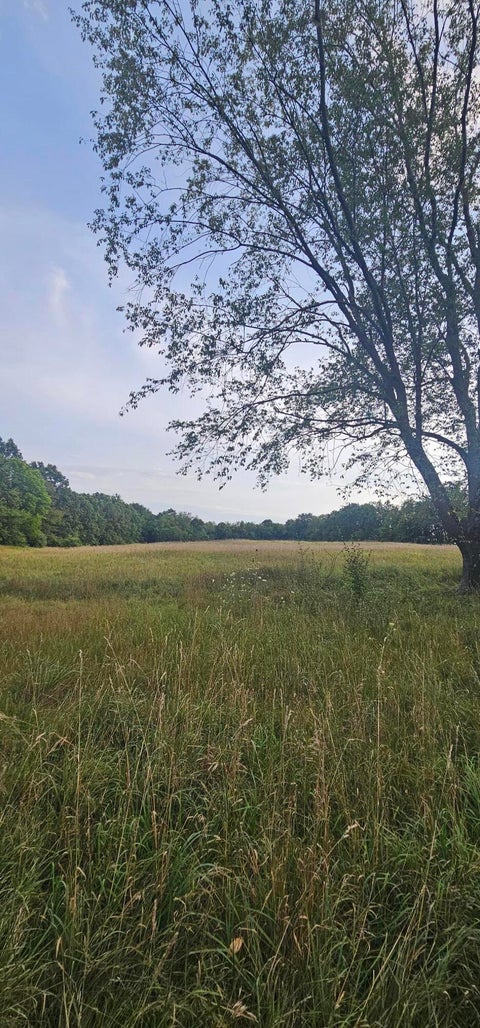 Photo for 473 Block Road