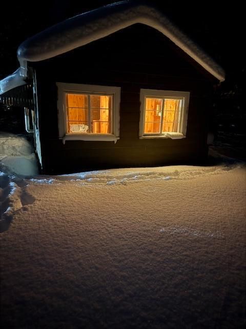 Photo of 5286 N Twin Creek Road, Luther, MI 49656 (MLS # 26004281)