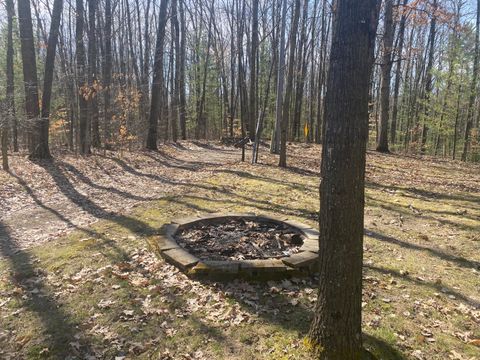 Photo of 9019 John Street, Mecosta, MI 49332 (MLS # 25033845)