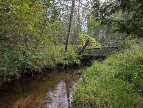 Photo for 22313 10 Mile Road