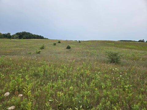Photo of Parcel G Water Road, Hart, MI 49420 (MLS # 26042151)