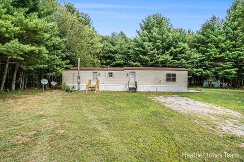 Photo of 1066 Fisk Avenue, Morley, MI 49336 (MLS # 25044089)