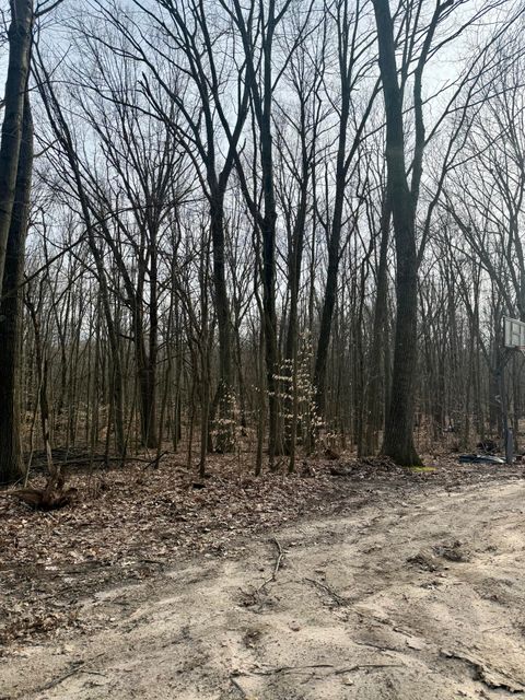 Photo of V/L Sycamore Street, Grand Junction, MI 49056 (MLS # 26014575)