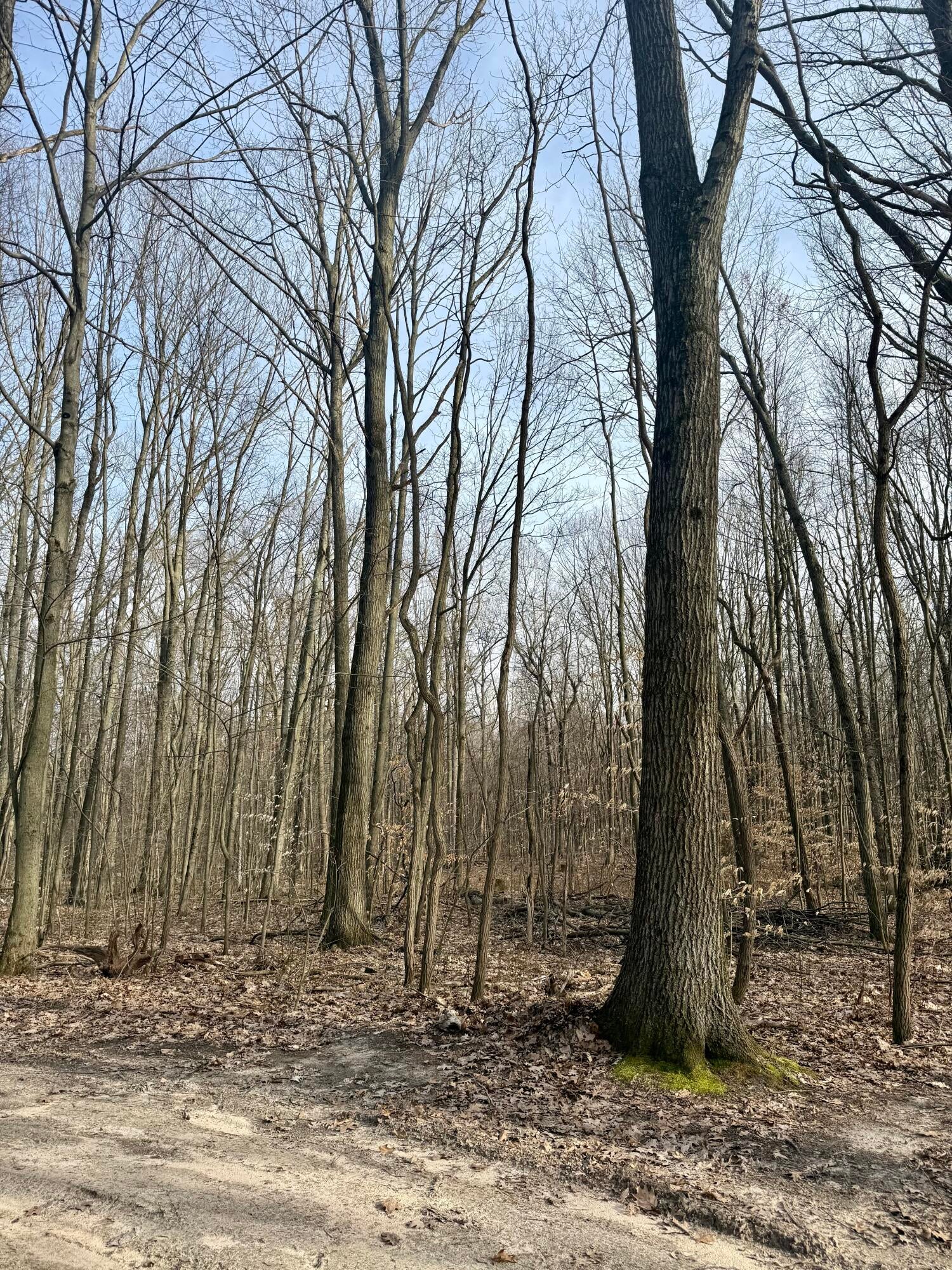 Listing 38