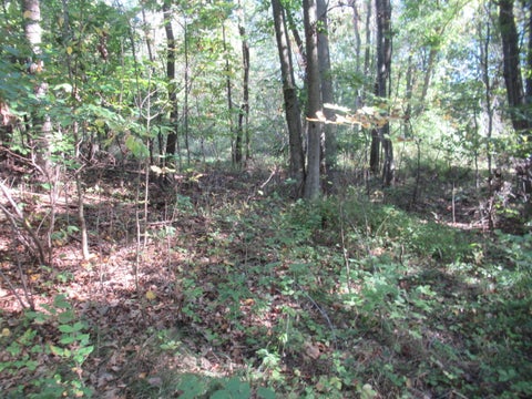 Photo for 17538 Paradise Lake Road