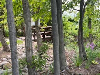 South Haven, Michigan 49090, United States, ,Land,Active,148801