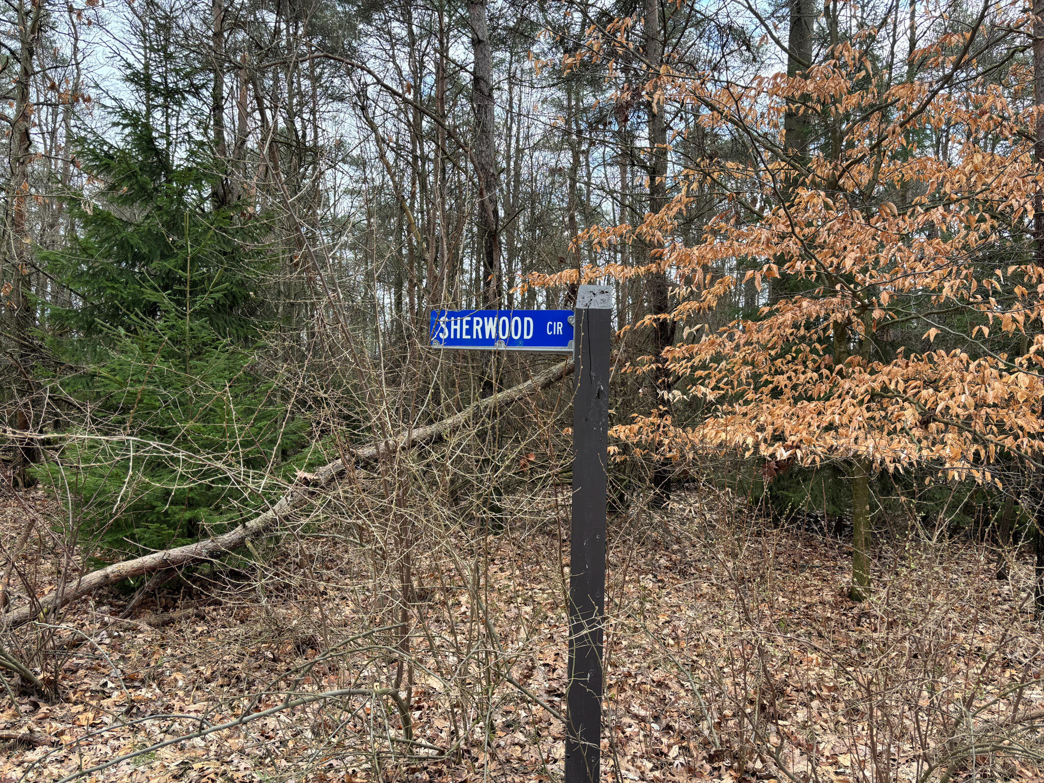 10181 Sherwood Circle