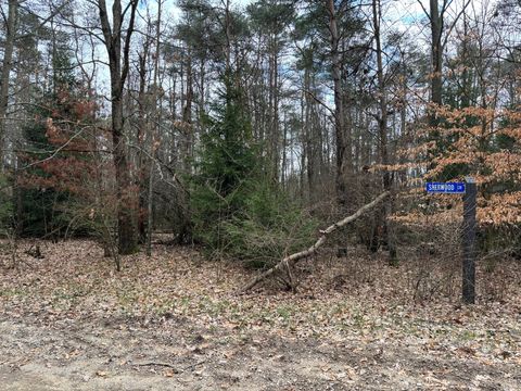 10181 Sherwood Circle Canadian Lakes MI 49346