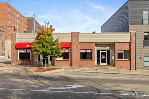551 Michigan Street NE Grand Rapids MI 49503