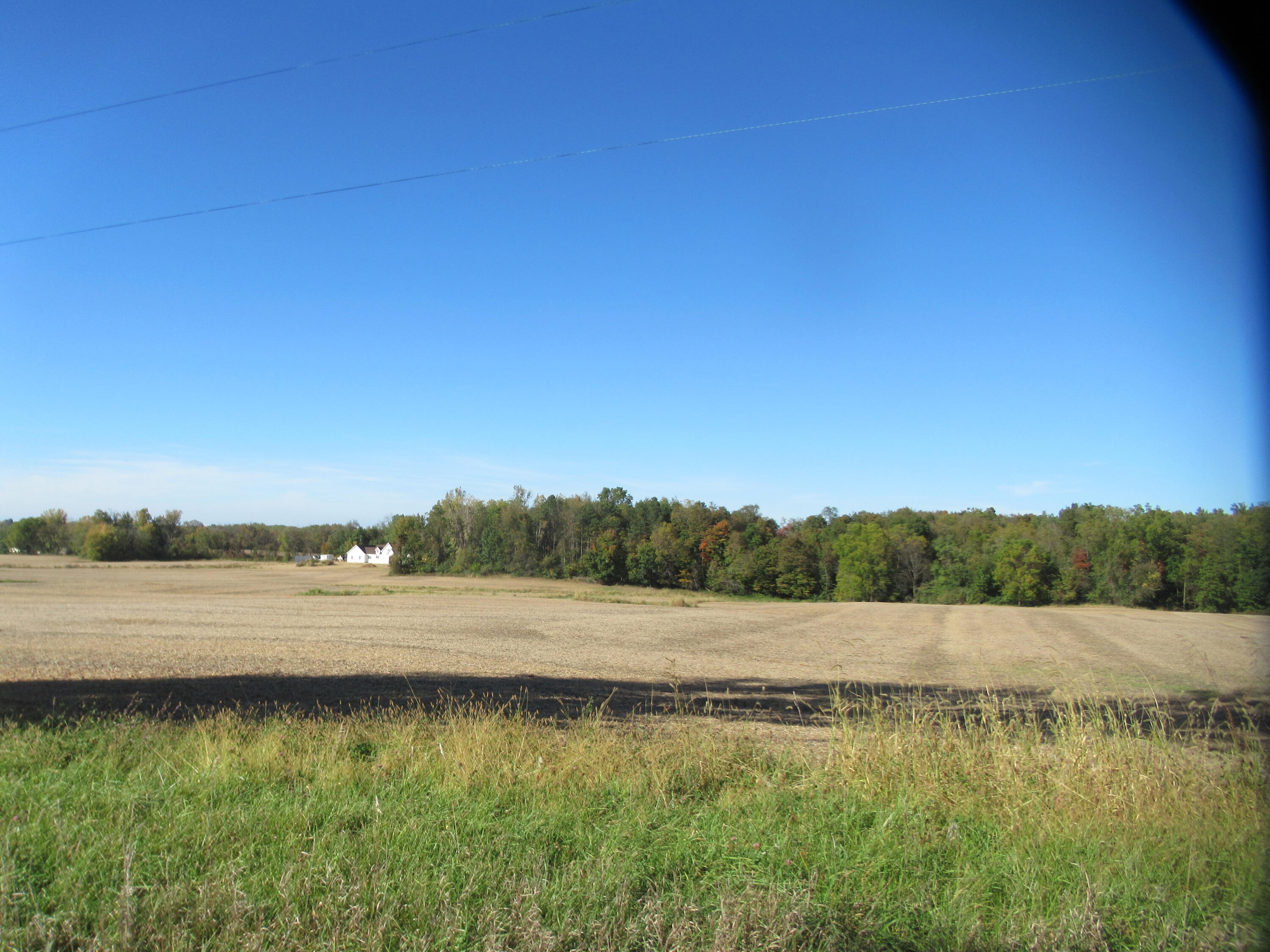Warren Woods Road