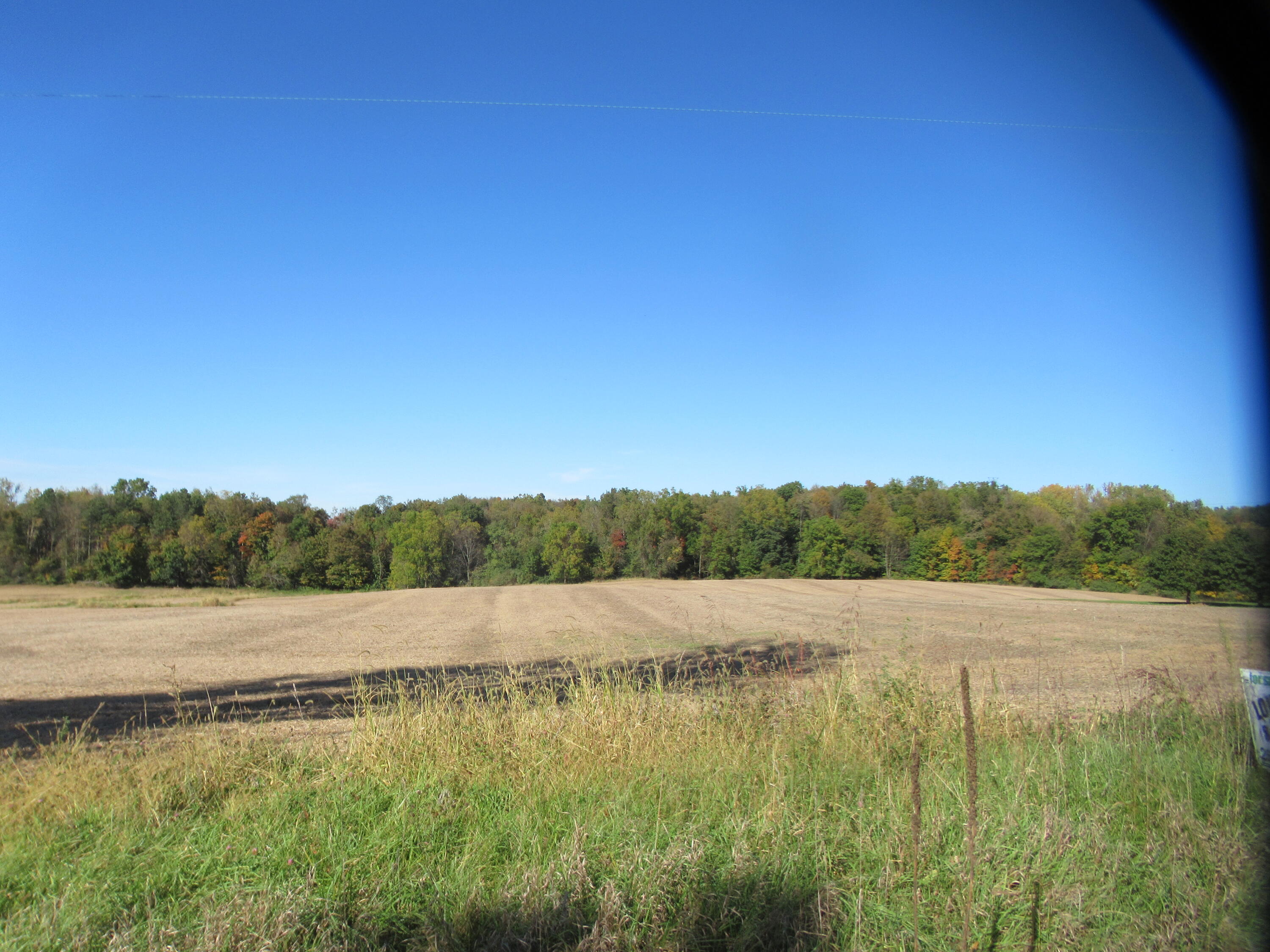 Warren Woods Road