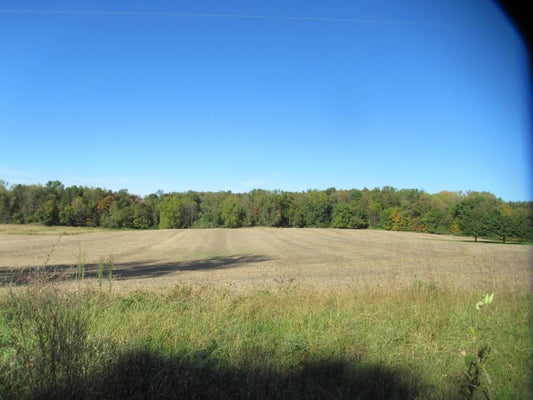 WARREN WOODS RD, GALIEN, MI 49113 - Image 2daf8b8a5910a828ebb8a497de58f6c0/4206938745