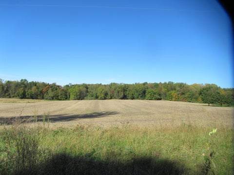 Photo for Warren Woods Road