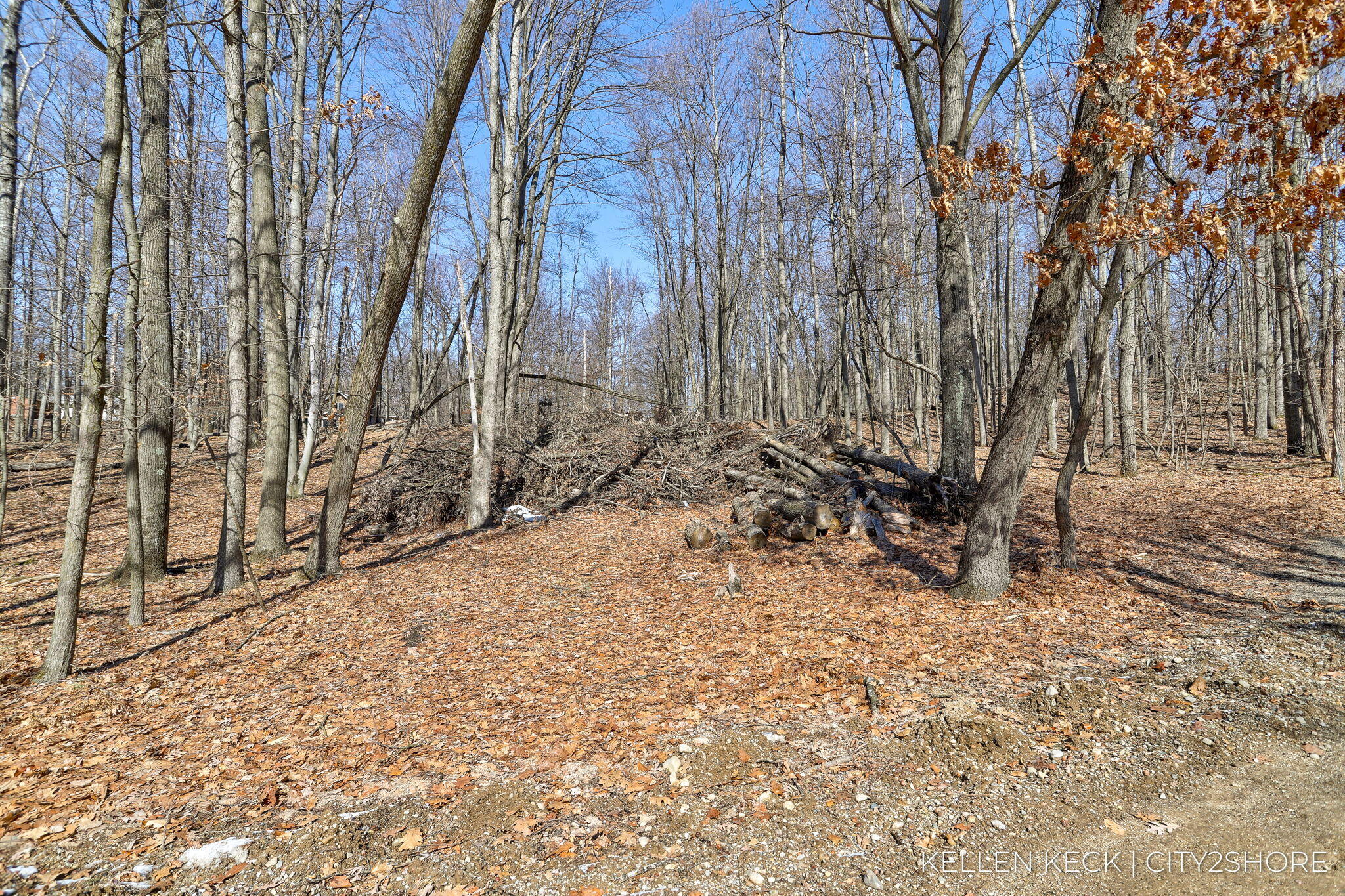 11280 Apache Wells Court