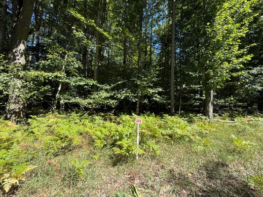 12100 BELLE ISLE DR # 369, STANWOOD, MI 49346 - Image 2e1f116d3635208db25b1eda5a7a130e/558519341