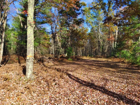 Photo for 5301 W 16 Mile Rd