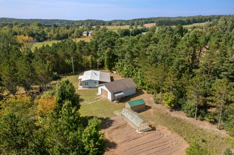 Photo of 10231 Milarch Road, Bear Lake, MI 49614 (MLS # 25047715)
