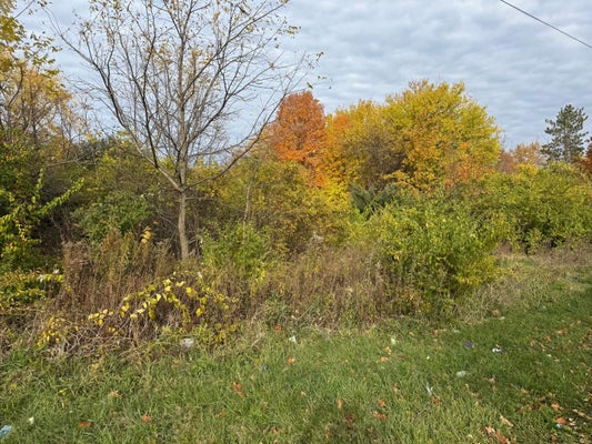179 COLLINS AVE, BENTON HARBOR, MI 49022 - Image 2fa0b9d42f6eb91f16deb918f90d3a4a/3872153356