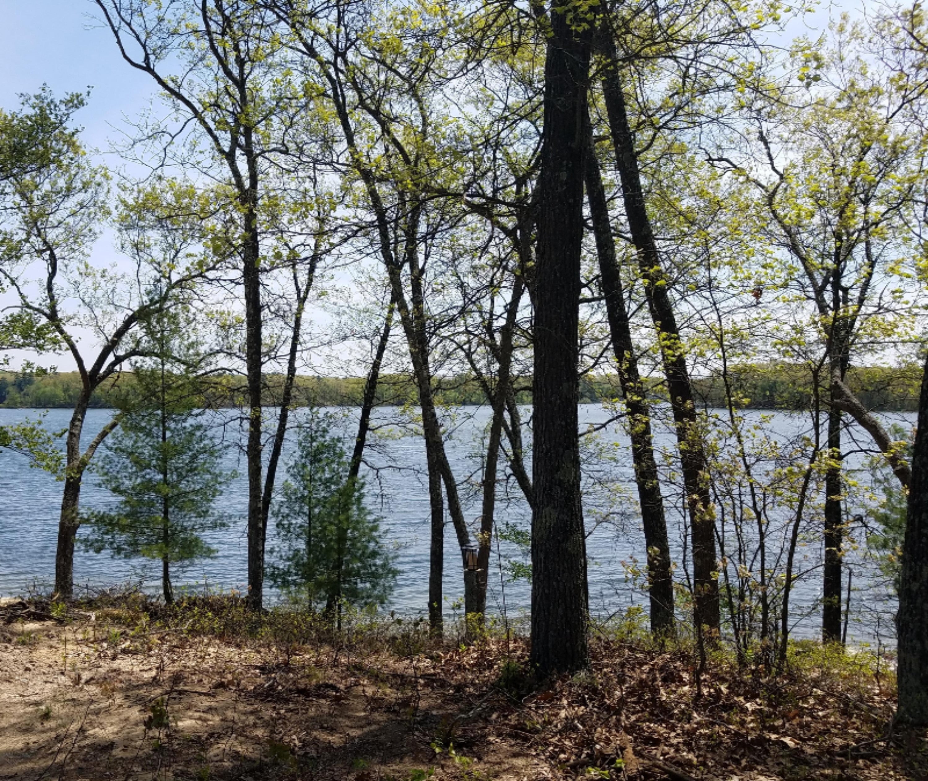 Listing 87