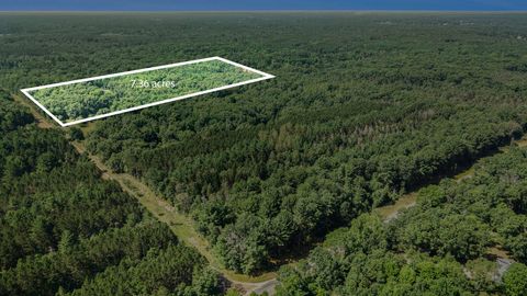 Lot A 85th Avenue Mecosta MI 49332