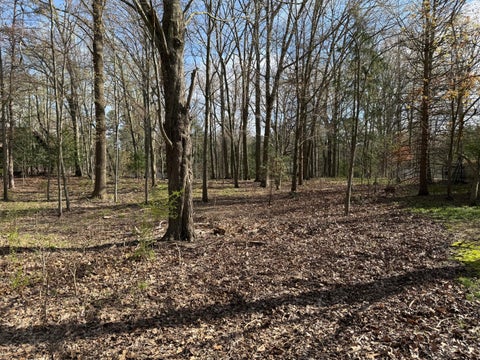 Photo for ABC Greenbush Road