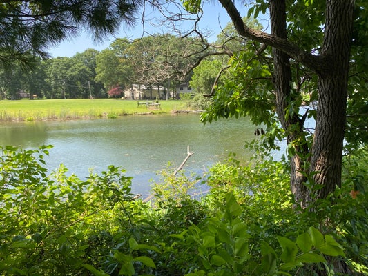 69050 ISLAND DR, EDWARDSBURG, MI 49112 - Image 30ea87c4babef3b5046b70d8d09dafb1/757718555