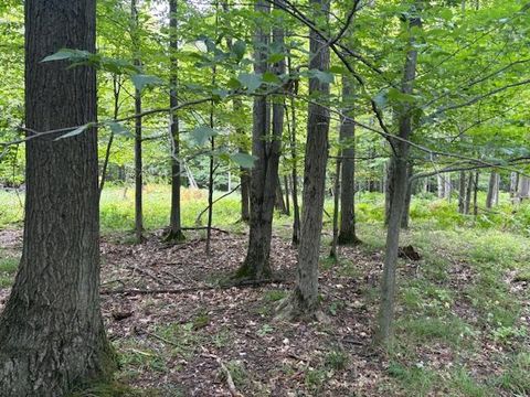 Photo of Flarity Road, Brethren, MI 49619 (MLS # 25045593)