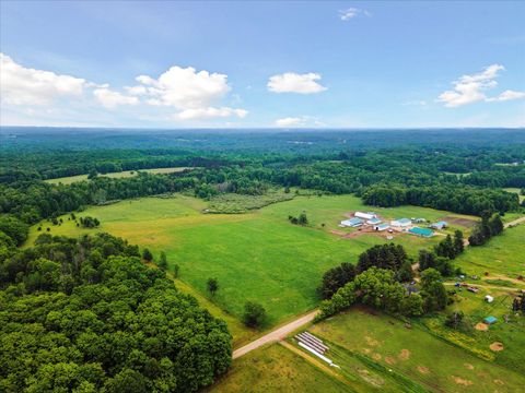 Photo of 21576 220th Avenue #Option B, Tustin, MI 49688 (MLS # 25042628)