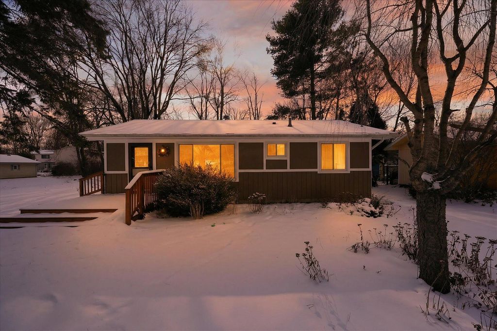 Photo of 217 Portage Street, Pinckney, MI 48169 (MLS # 26002481)