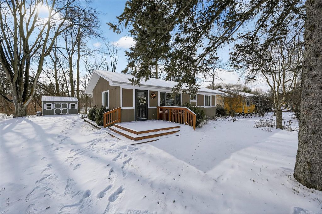 Photo of 217 Portage Street, Pinckney, MI 48169 (MLS # 26002481)