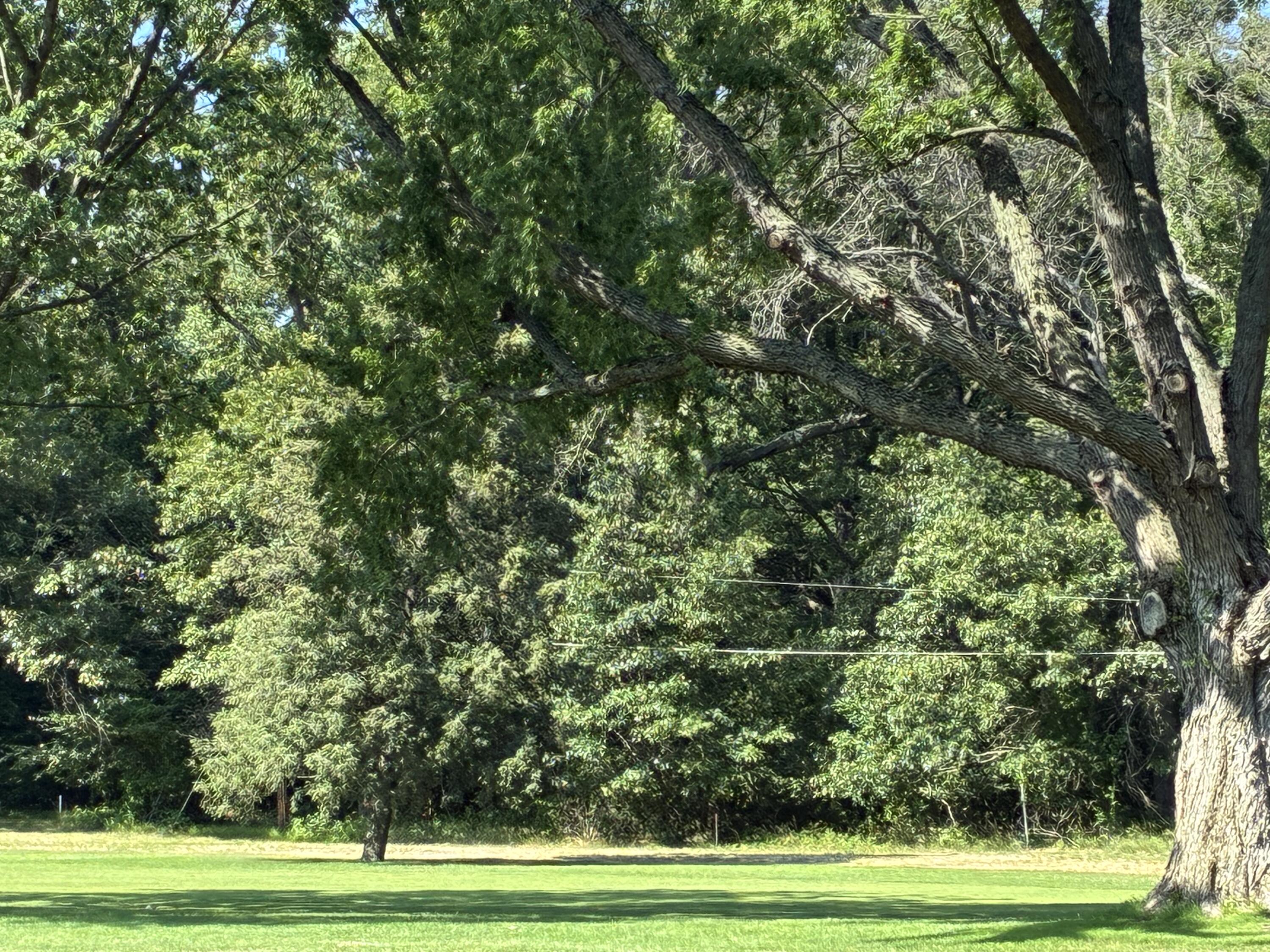 Grand Beach, Michigan 49117, United States, ,Land,Active,165233