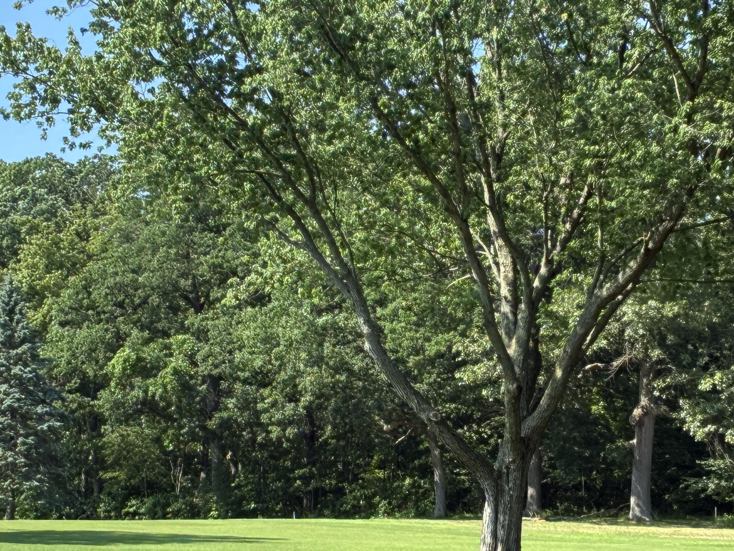 Grand Beach, Michigan 49117, United States, ,Land,Active,165233