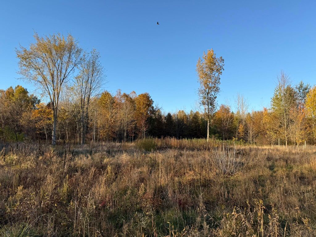 Photo of VL 3.87ac. 24th Avenue, Grand Junction, MI 49056 (MLS # 25056206)
