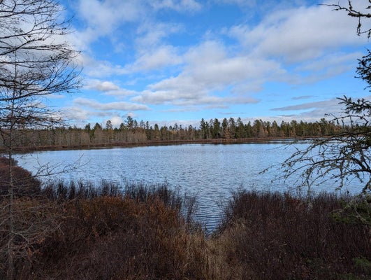 SLOUGH LAKE RD, GWINN, MI 49841 - Image 32ba07e64fcda6729e0fe3a213e1b7f6/2545707237
