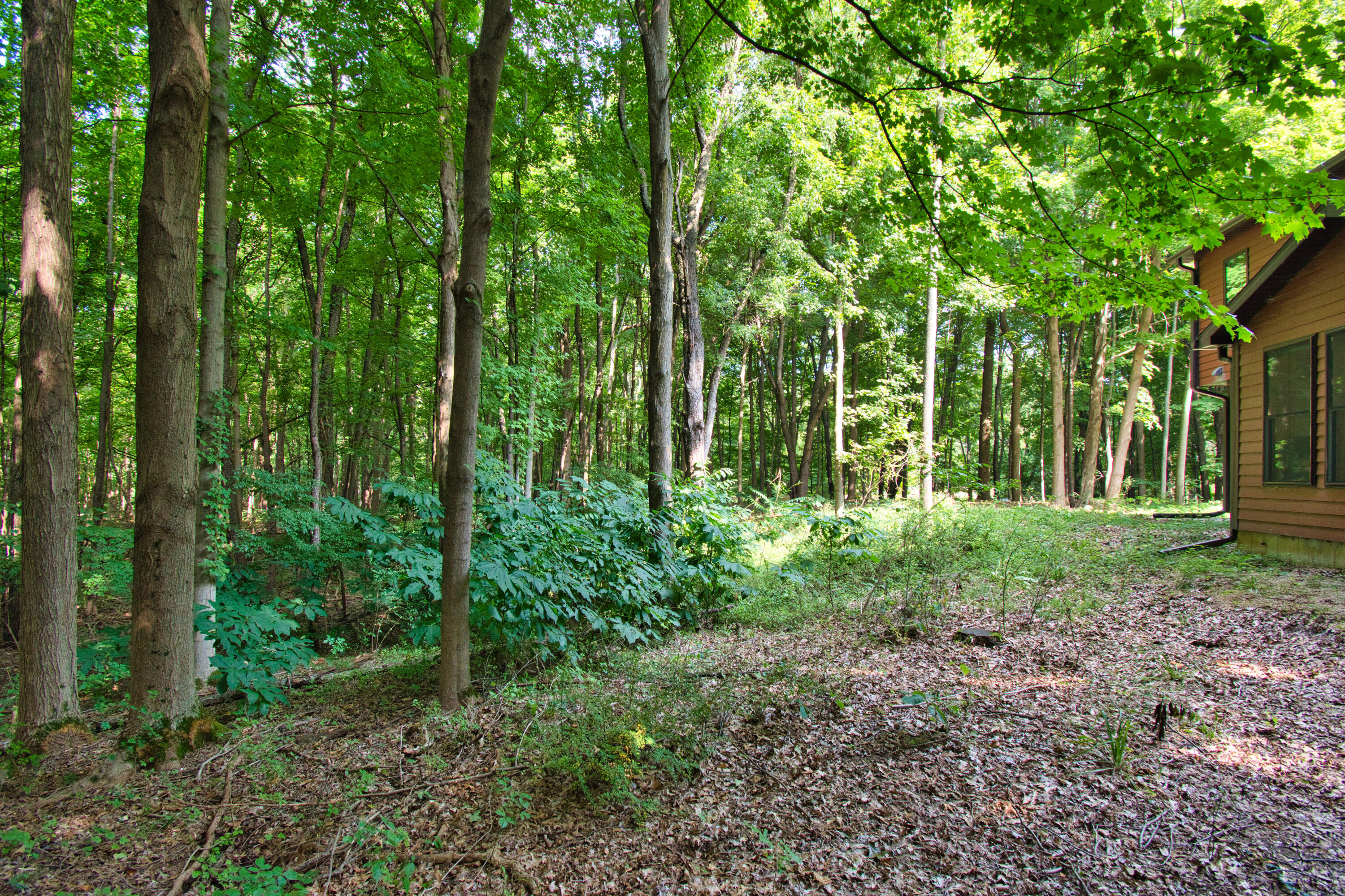 824 N Philip Road