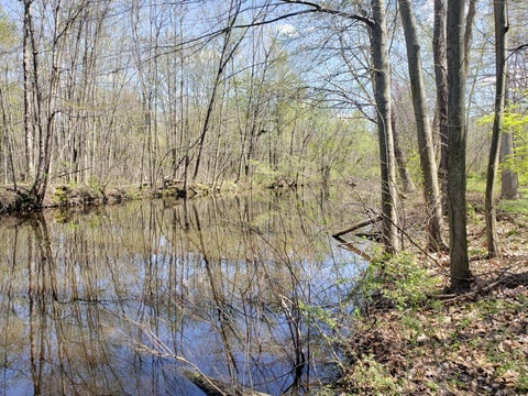Photo for 5295 N Watervliet Road