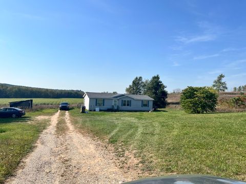 Photo of 4897 S 64th Avenue, New Era, MI 49446 (MLS # 25051020)