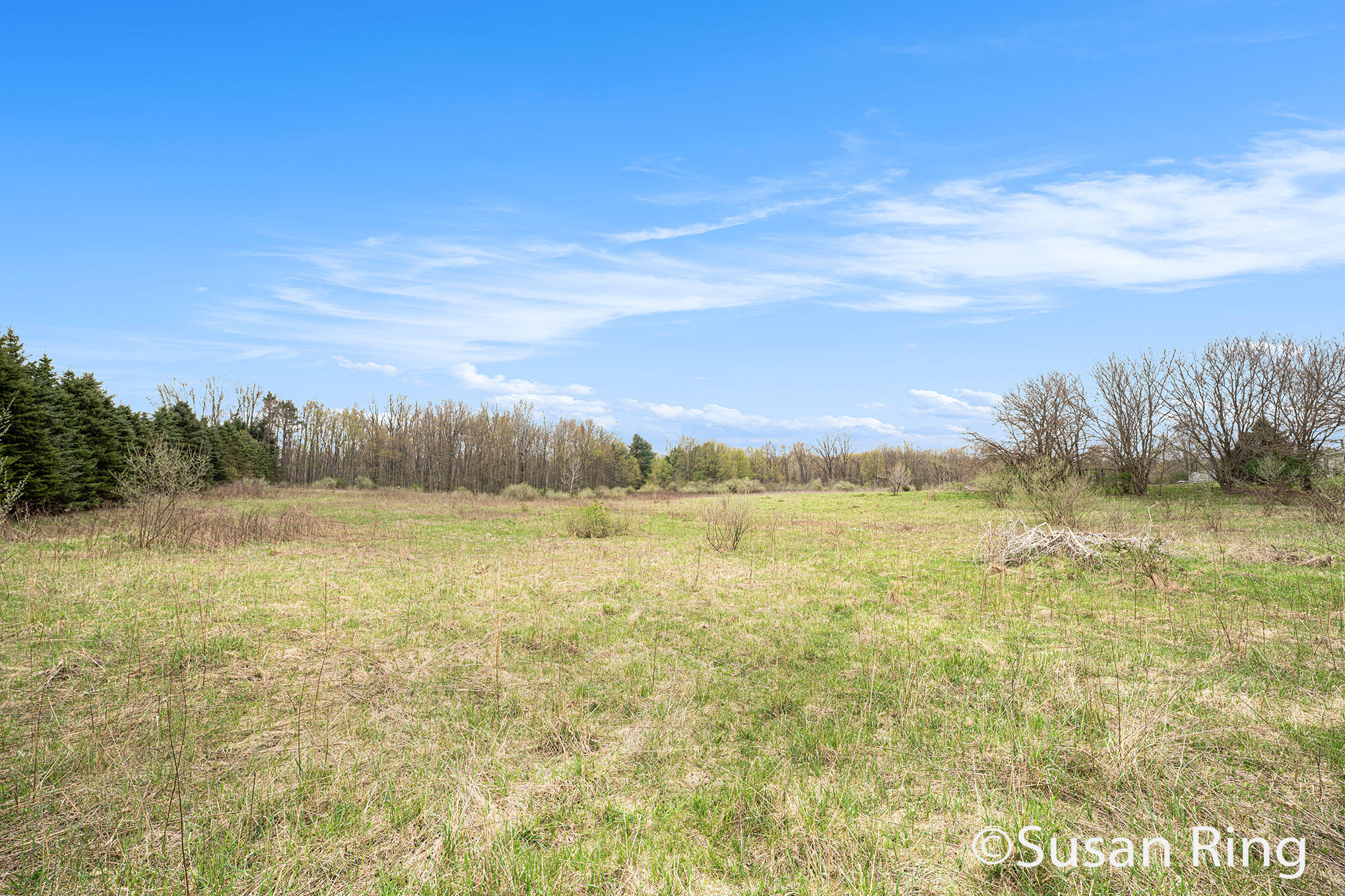 Allegan, Michigan 49010, United States, ,Land,Active,118309