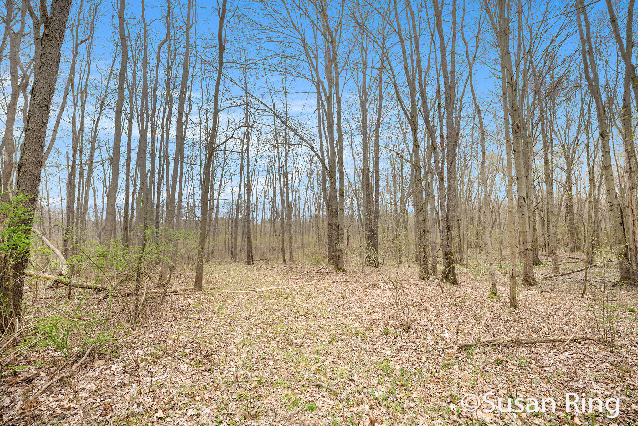 Allegan, Michigan 49010, United States, ,Land,Active,118309