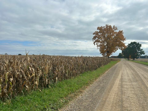 Photo for Noonan Road