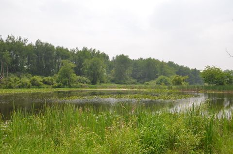 Photo of 4500 S 42nd Street, Climax, MI 49034 (MLS # 25027579)