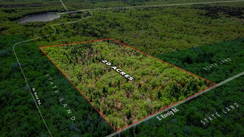 Photo of V/L E Koenig Road, Free Soil, MI 49411 (MLS # 25051381)