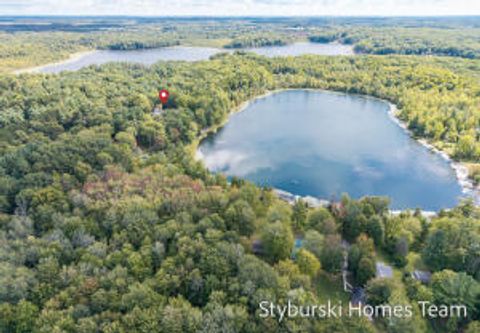 Photo of V/L N 176th Avenue, Walkerville, MI 49459 (MLS # 26016203)