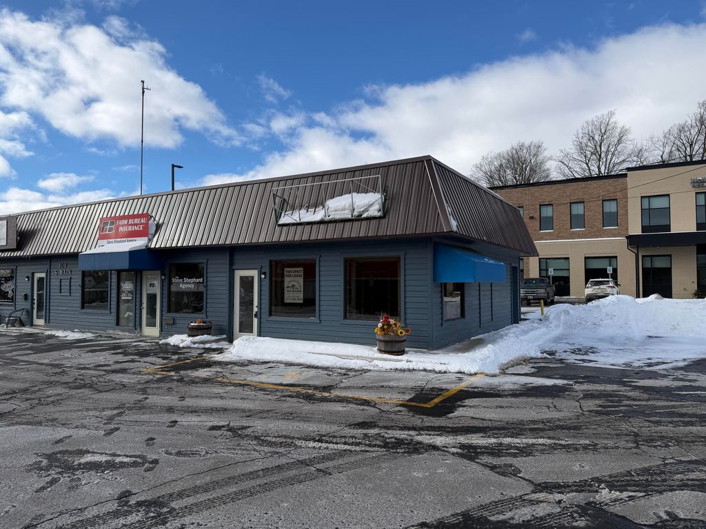 Photo of 106 S Main Street #Suite 4, Brooklyn, MI 49230 (MLS # 26004941)